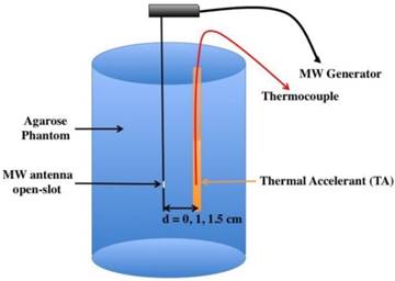 Theranostics Image