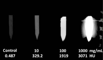 Theranostics Image