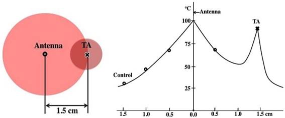 Theranostics Image