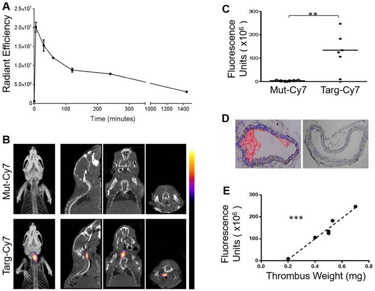 Theranostics Image