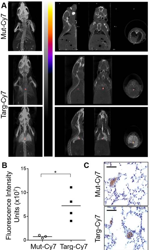 Theranostics Image