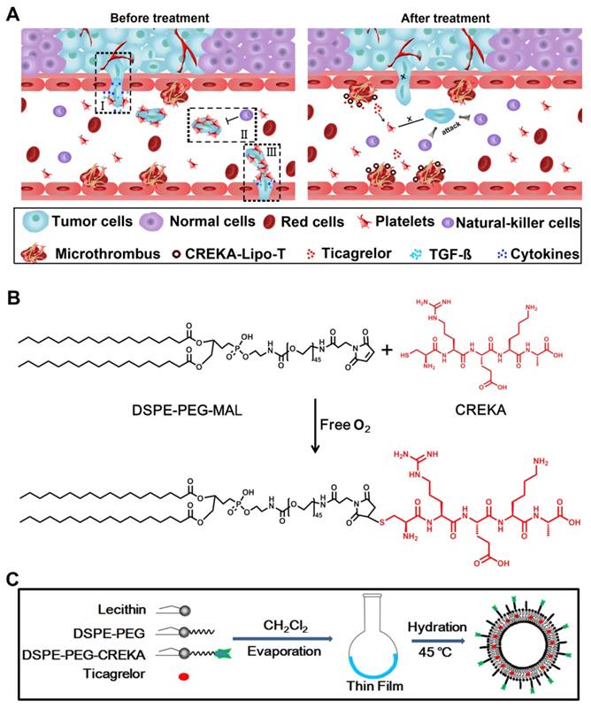 Theranostics Image