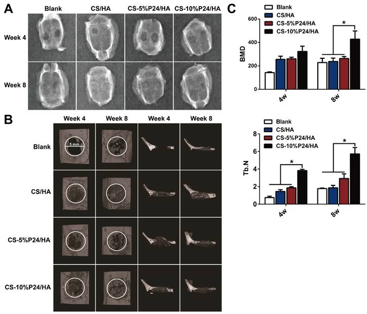 Theranostics Image