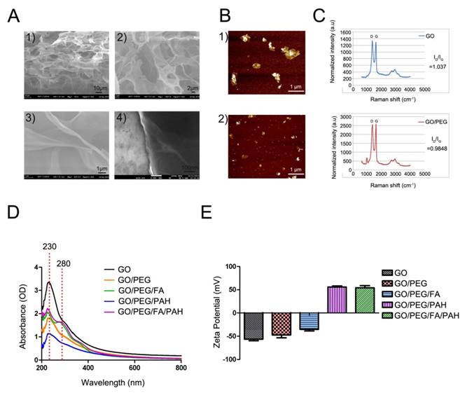 Theranostics Image