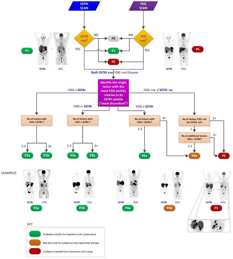 Theranostics Image