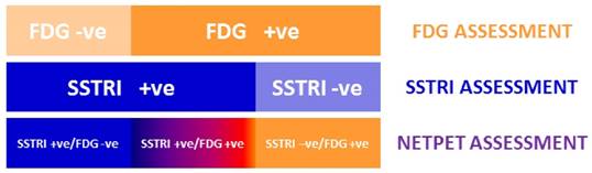 Theranostics Image