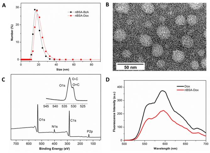 Theranostics Image