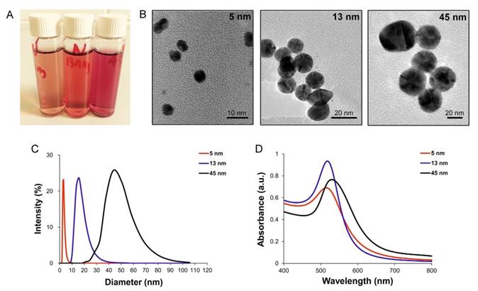 Theranostics Image