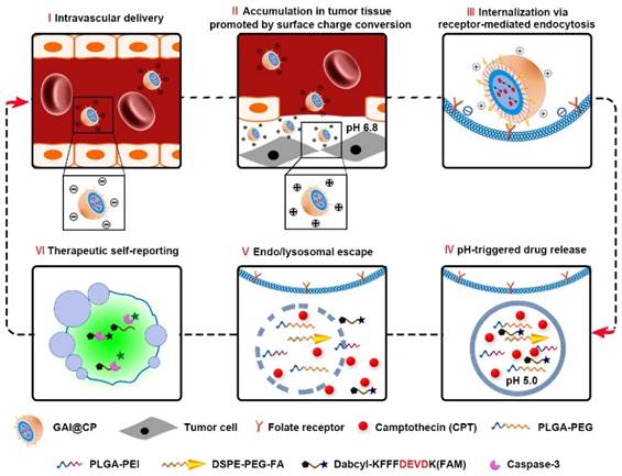 Theranostics Image