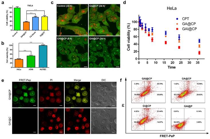 Theranostics Image