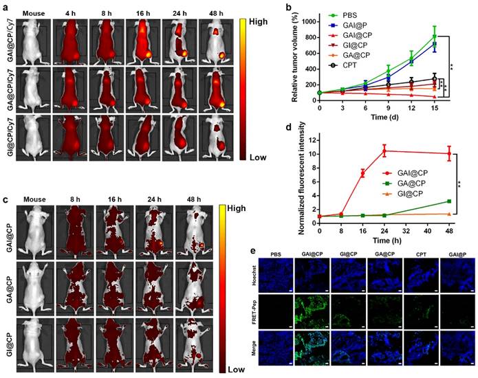 Theranostics Image