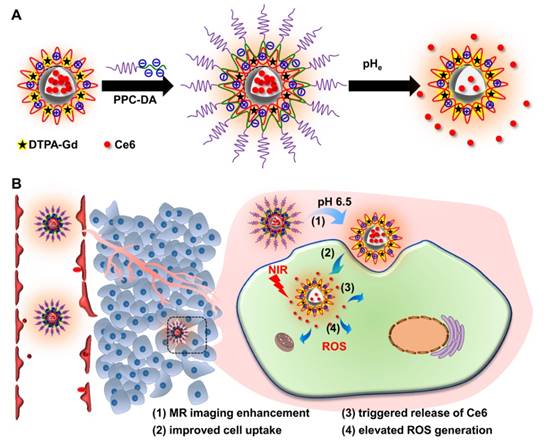 Theranostics Image