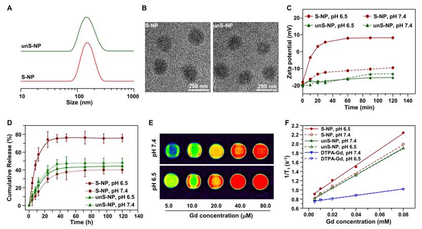 Theranostics Image