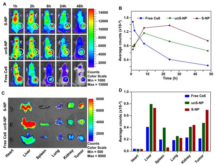 Theranostics Image