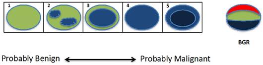 Theranostics Image