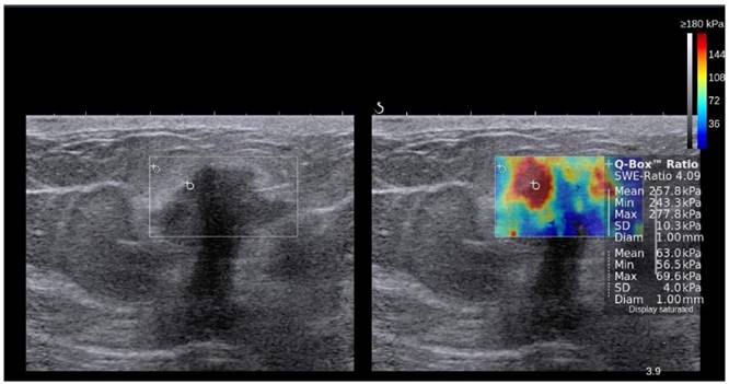 Theranostics Image