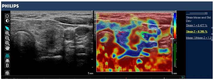 Theranostics Image