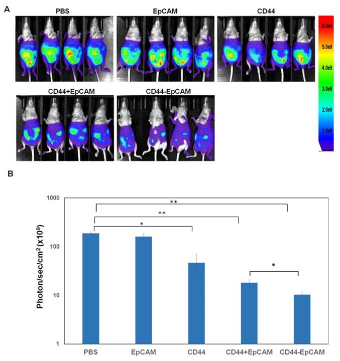 Theranostics Image