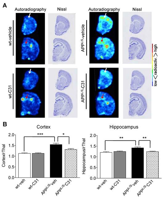 Theranostics Image