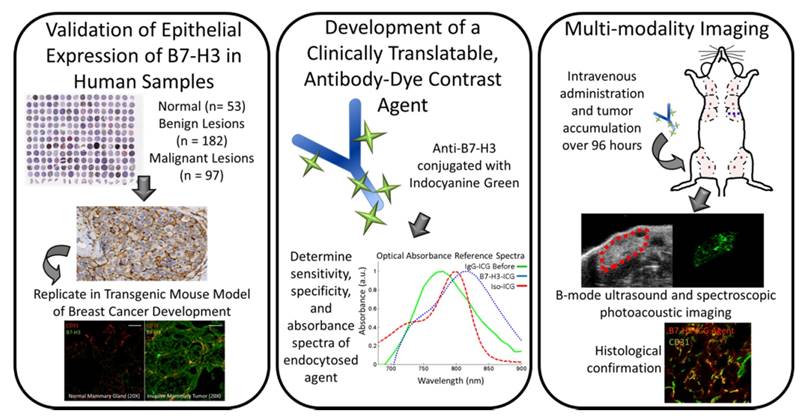 Theranostics Image