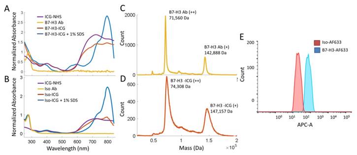 Theranostics Image