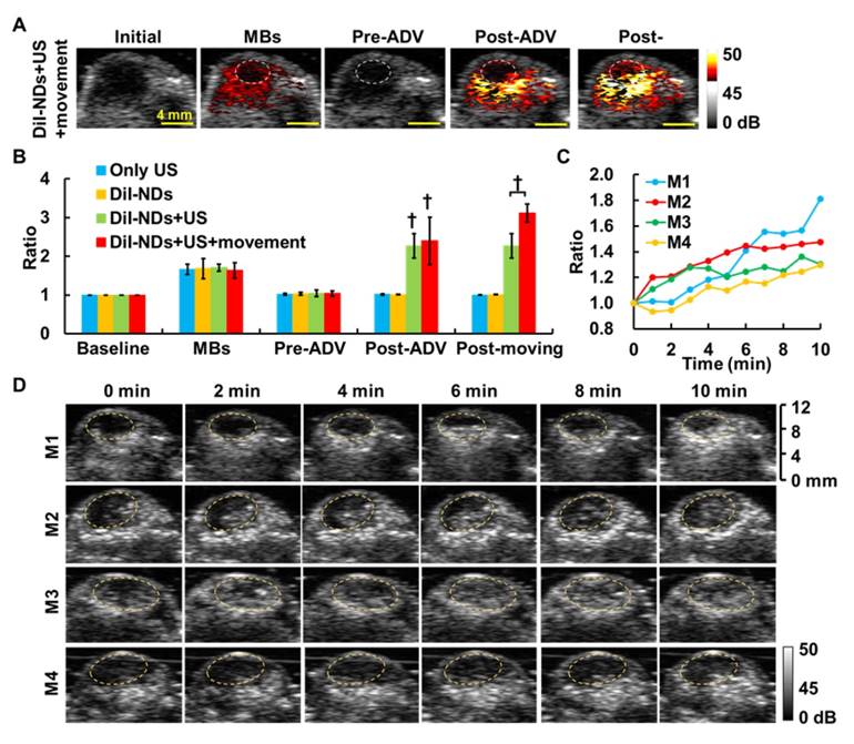 Theranostics Image