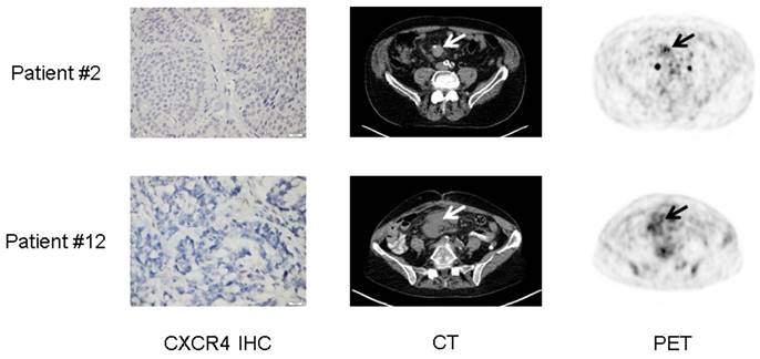 Theranostics Image