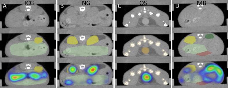 Theranostics Image