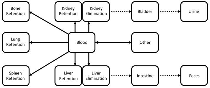 Theranostics Image