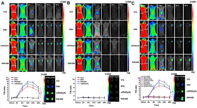 Theranostics Image