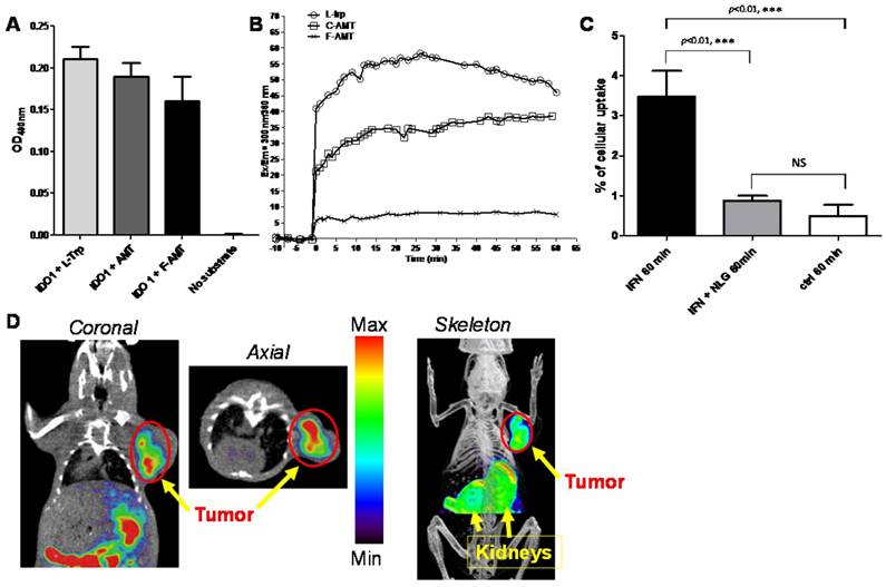 Theranostics Image