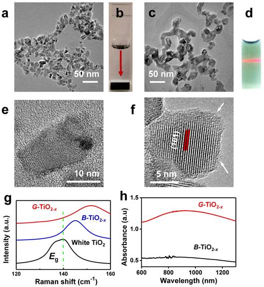 Theranostics Image