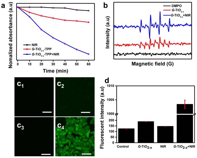 Theranostics Image