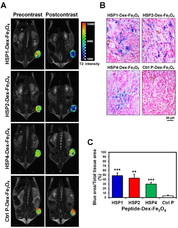 Theranostics Image