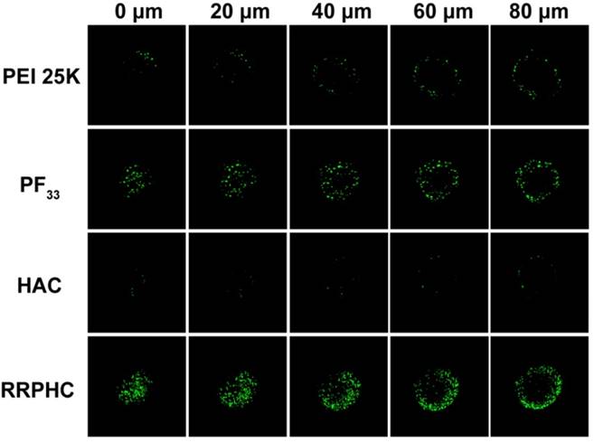 Theranostics Image