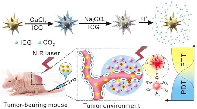 Theranostics Image