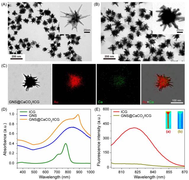 Theranostics Image