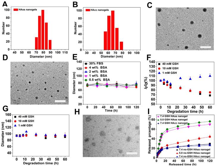 Theranostics Image