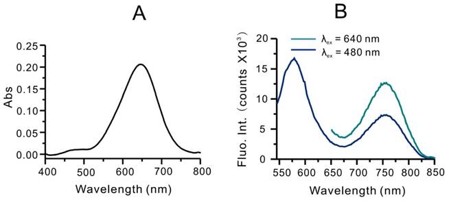 Theranostics Image