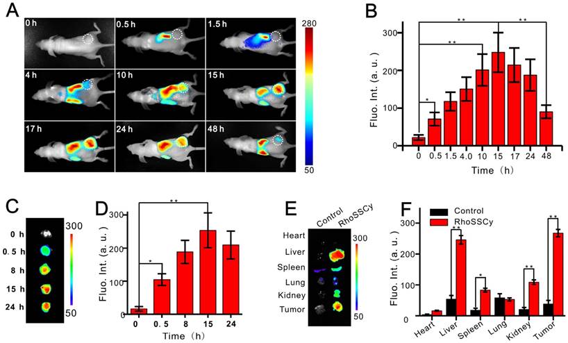 Theranostics Image