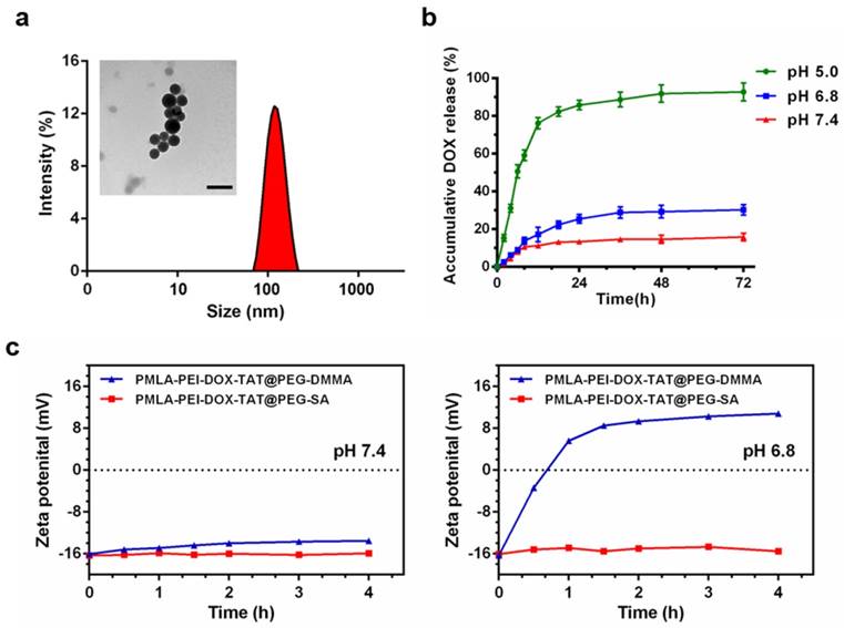 Theranostics Image