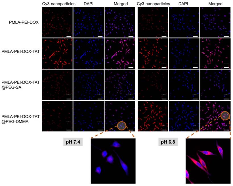 Theranostics Image