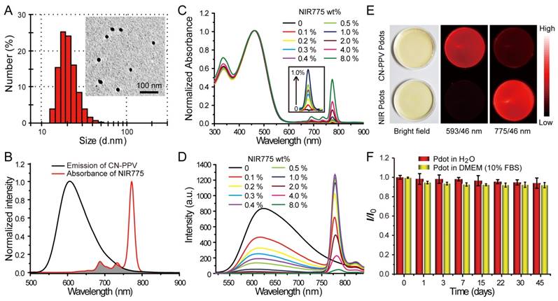 Theranostics Image