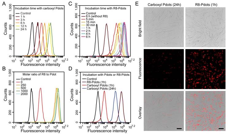 Theranostics Image