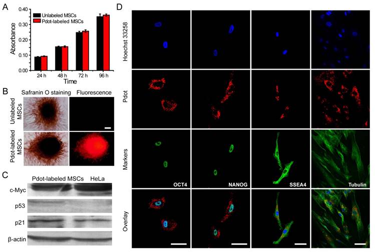 Theranostics Image