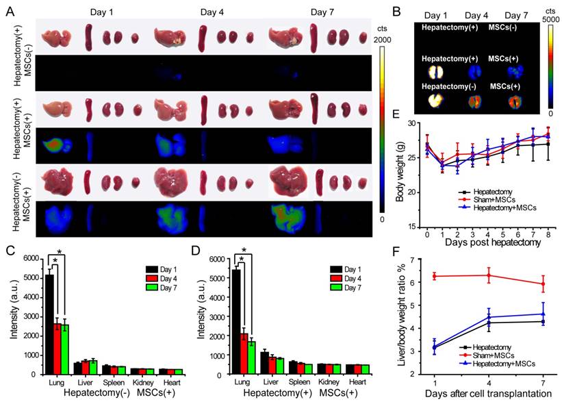 Theranostics Image