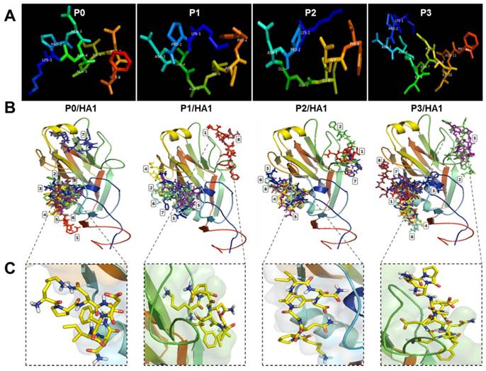 Theranostics Image