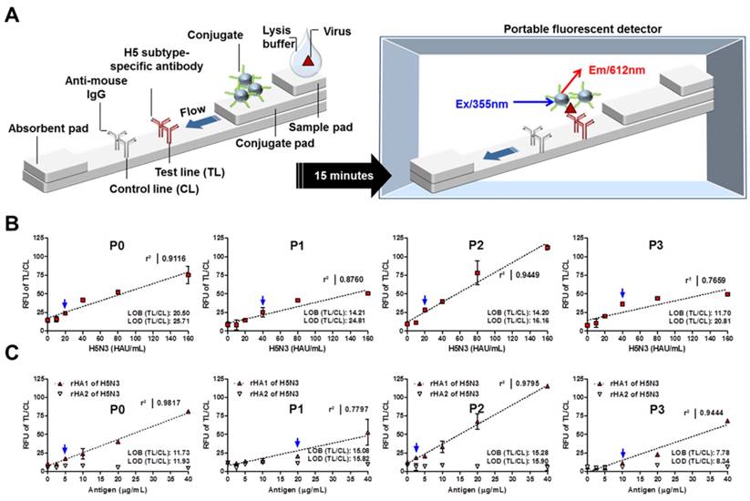 Theranostics Image