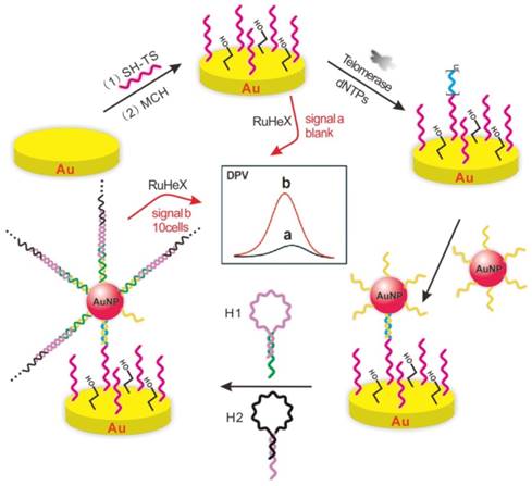 Theranostics Image