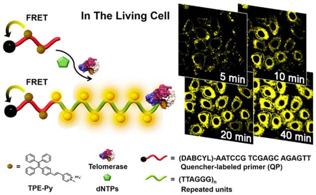 Theranostics Image